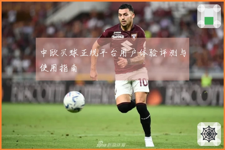 中欧买球正规平台用户体验评测与使用指南