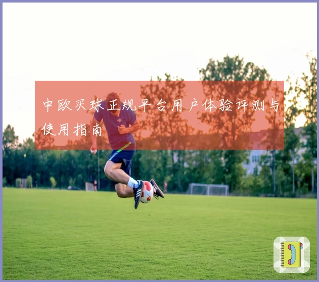 中欧买球正规平台用户体验评测与使用指南