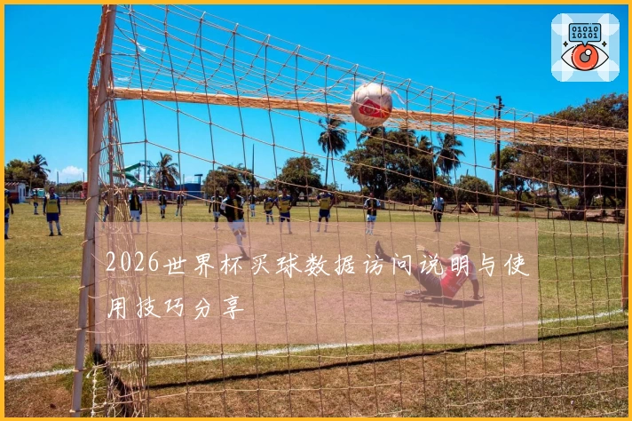 2026世界杯买球数据访问说明与使用技巧分享