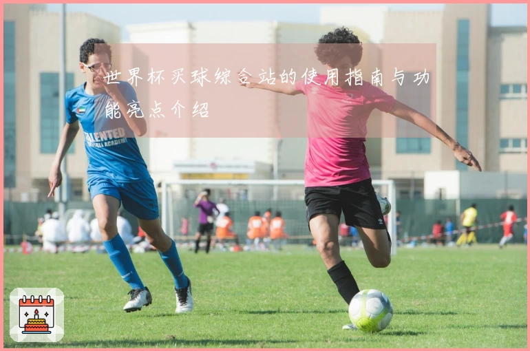 世界杯买球综合站的使用指南与功能亮点介绍
