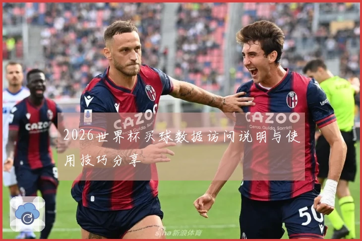 2026世界杯买球数据访问说明与使用技巧分享