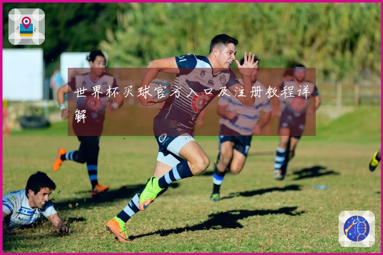 世界杯买球官方入口及注册教程详解